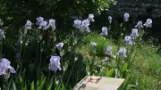 Journée bien-être, nature et découverte au château d'Allègre