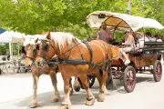 Journée de fête inter-Ehpad à Vidauban : 80 résidents réunis