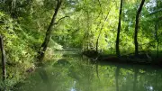 Journée de sensibilisation autour de la rivière Mosson à Saint-Jean-de-Védas