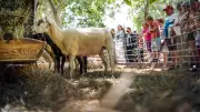 Journées méditerranéennes des saveurs : programme du dimanche 7 juin
