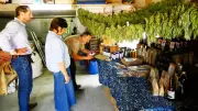 Katy Guyot en visite au jardin bio de Bizac à Calvisson