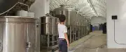 La Brasserie du Larzac ouvre ses portes pour des visites guidées