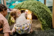 La Cité des Enfants à la Villette : un monde à hauteur d'enfant