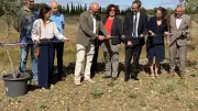 Le Buffalon retrouve son lit naturel après des travaux de revitalisation