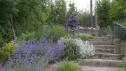 Le Jardin des Enclos ouvre sa saison avec une expo photo