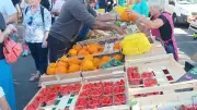 Le marché de plein vent de Valras-Plage s'installe en front de mer pour l'été