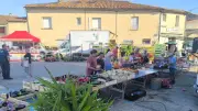 Le marché du mardi à Redessan, un rendez-vous convivial