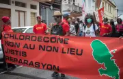 Le Parlement reconnaît la responsabilité de l'État dans le scandale du chlordécone
