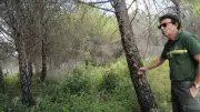 Le risque zéro n’existe pas : des forêts entretenues pour lutter contre les incendies