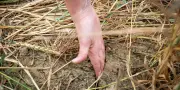 L'eau, un bien vital qui mérite un débat mondial
