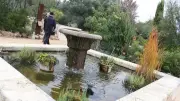 L’Echo littéraire au Jardin antique : poésie, musique et mémoire