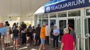 Les anciens combattants découvrent le Seaquarium du Gard