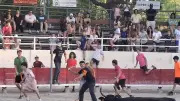 Les arènes de Codognan vibrent avec taureau piscine et animations