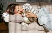 Les chats perçoivent nos émotions et adaptent leur comportement