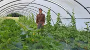 Les Jardins du Rieu : maraîchage bio à Saint-Privat-des-Vieux