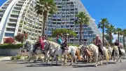 Les journées camarguaises à La Grande-Motte du 19 au 21 juin