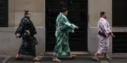 Les maîtres du sumo de retour à Paris après trente ans d'absence