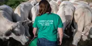 Loi agriculture : Sénat rouvre dossier brûlant de l'acétamipride