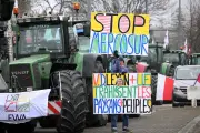 Loi d'urgence agricole : députés prêts à voter des reculs environnementaux