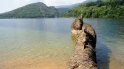 Lozère : fête du lac, expo assistante maternelle, jeux à Fontanilles