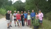 Lutte contre les plantes invasives : réunion d'information à Vallabrix