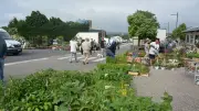 Marché aux fleurs et vide-greniers attirent la foule au Caylar