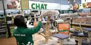 Maxi Zoo vise les centres-villes après une année record