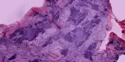Microscopie 3D : une révolution pour l'analyse des tissus biologiques