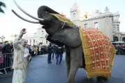 Milliardaires indiens : quand la Côte d'Azur devient Bollywood-sur-Mer