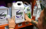 Monsanto : la Cour suprême américaine bloque la voie à des milliers de plaintes contre Bayer