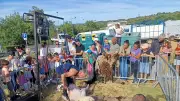 Montarnaud : la 5e fête de la transhumance célèbre la ruralité