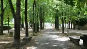 Montpellier : agression violente dans le parc de la Guirlande
