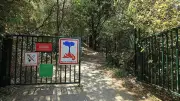 Montpellier ferme plusieurs espaces verts face au risque incendie