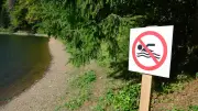 Noyade à Golbey : un jeune de 19 ans meurt dans une zone de baignade interdite