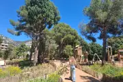Nuisances au parc des Lices à Toulon : les riverains excédés