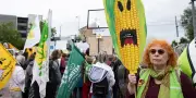 OGM nouvelle génération : le Parlement européen approuve