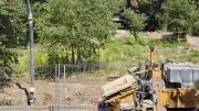Parc Jacques-Chirac à Nîmes : riverains vigilants sur arbres et sécurité
