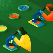 Parkinson : le microbiote intestinal, nouvel outil de diagnostic