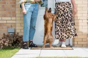 Pas de honte à considérer son animal comme un enfant