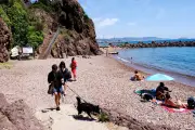 Plage des chiens à Mandelieu : premiers pas en liberté encadrée