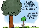 Planter des arbres en ville : un geste technique et politique