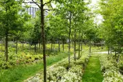 Politiser les canicules : une opportunité pour l'écologie