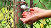 Pollution de l'eau potable : des médecins alertent sur une menace systémique