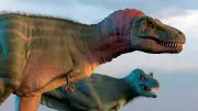 Pourquoi les tyrannosaures avaient-ils de si petits bras ?