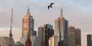 Premier cas de grippe aviaire H5 détecté en Australie