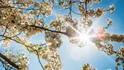 Printemps 2026 : le plus chaud en France depuis 1900