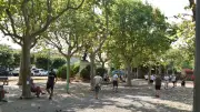 Programme estival de pétanque à Paulhan dès le 28 juin