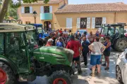 Projet de déviation au Beausset : des vignerons de l'AOC Bandol inquiets pour leurs vignes