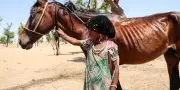 Près de la moitié des enfants dans le monde exposés à au moins trois aléas climatiques, alerte l'Unicef