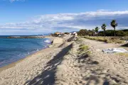 Près de Perpignan : les communes sauvegardent leur littoral
